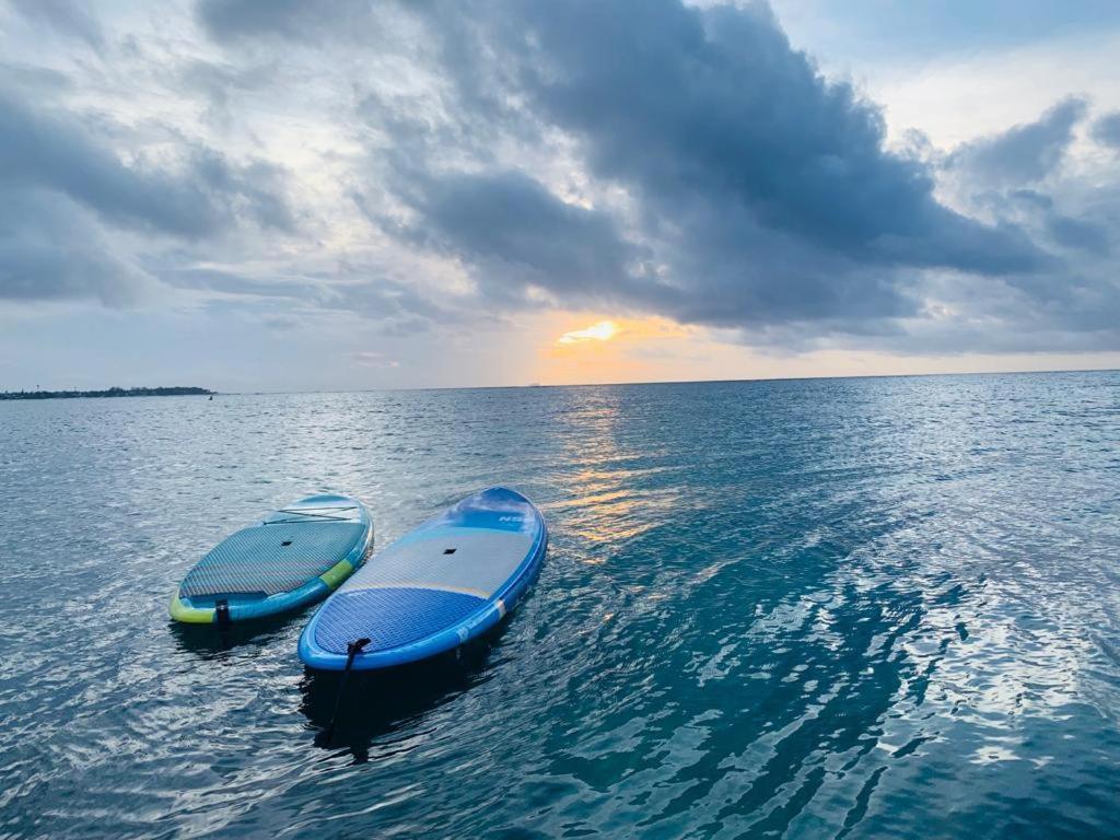 Splendide 2 Chambres A 5 Min De La Plage Mont-Choisy Kültér fotó